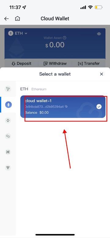 Cloud Wallet 